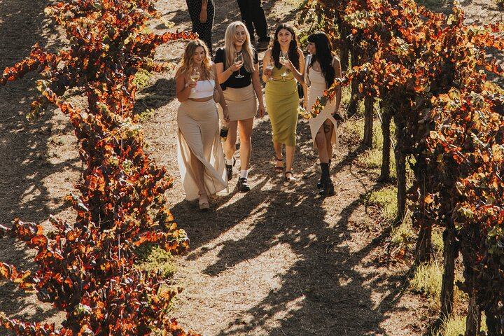 Small-Group Napa and Sonoma Wine Tour from San Francisco with Two Wineries (5/12)
