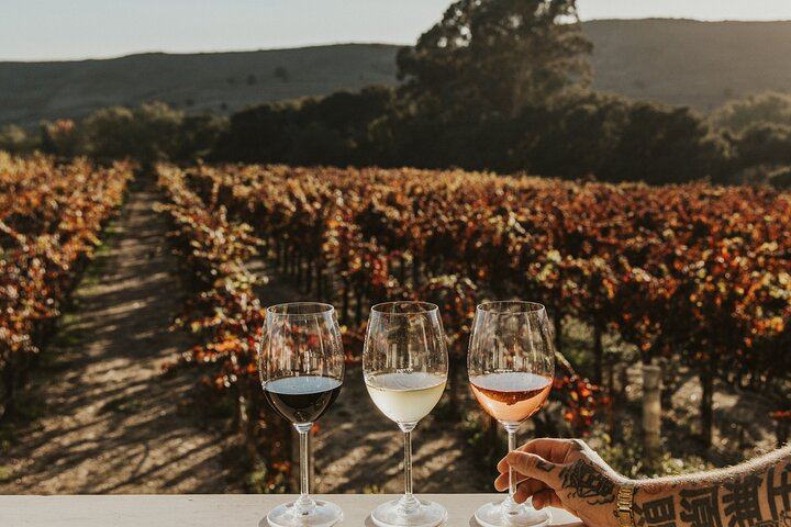 Small-Group Napa and Sonoma Wine Tour from San Francisco with Two Wineries (6/12)