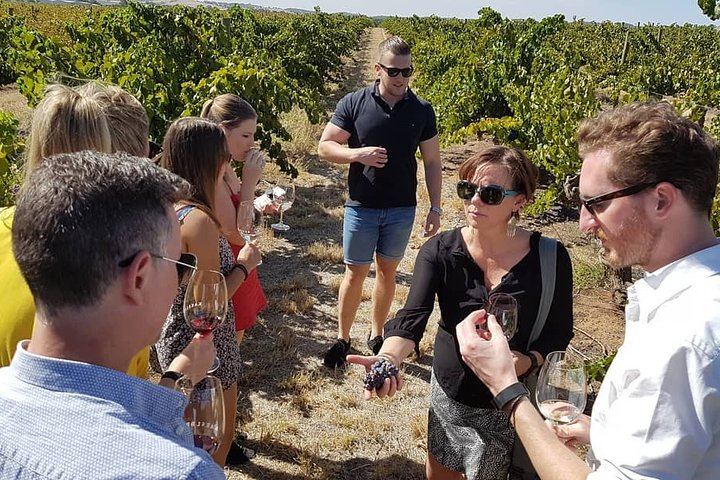 Barossa Valley Premium Wine Tour for Max 6 Guests with Restaurant Lunch (6/6)