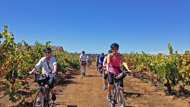 Santa Rosa Bike Tour: 12 Miles Through Russian River Valley Vineyards (1/2)