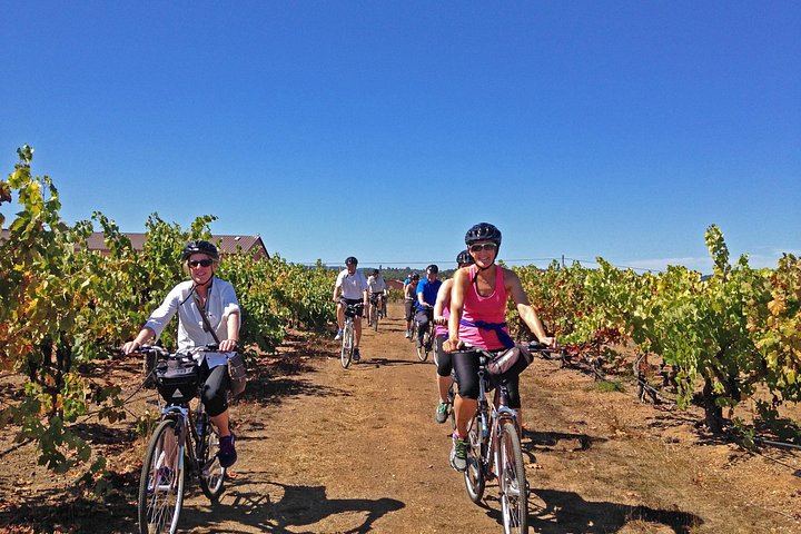 Santa Rosa Bike Tour: 12 Miles Through Russian River Valley Vineyards (1/2)