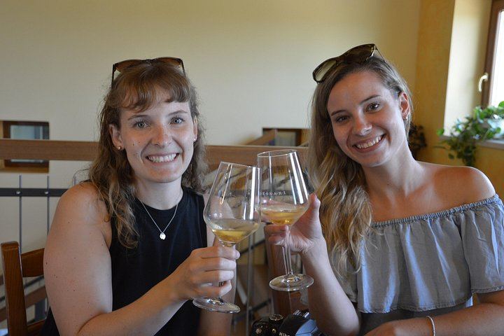 Pagus Wine Tours Half-Day Soave and Amarone Tour from Verona: Walled Town and Two Wineries (5/7)