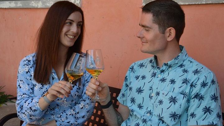 Pagus Wine Tours Half-Day Soave and Amarone Tour from Verona: Walled Town and Two Wineries (1/7)