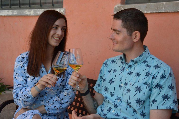 Pagus Wine Tours Half-Day Soave and Amarone Tour from Verona: Walled Town and Two Wineries (1/7)