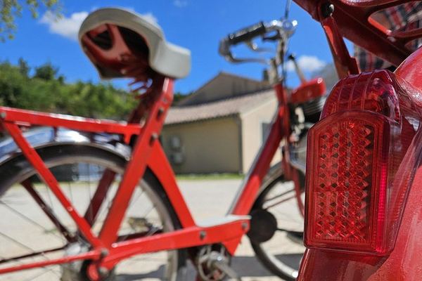 Vintage Solex Ride Through the Vineyards of Domaine des Favards, with Organic Wine Tasting