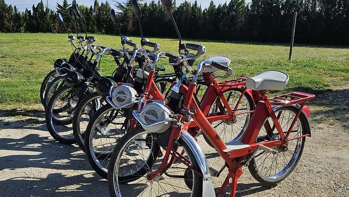 Vintage Solex Ride Through the Vineyards of Domaine des Favards, with Organic Wine Tasting (1/10)