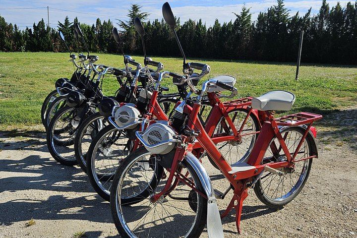 Vintage Solex Ride Through the Vineyards of Domaine des Favards, with Organic Wine Tasting (1/10)
