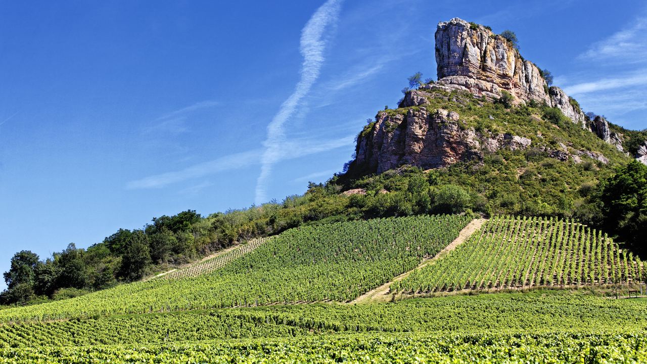 Solutré rock rising above vineyard rows in Burgundy, France