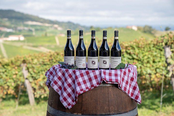 Podere Gagliassi Barolo Vertical Tasting, Organic Vineyards and Cellar, Monforte d'Alba (7/7)