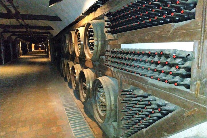 Private Kakheti Wine Day: Qvevri Master, Kvareli Tunnel, Kindzmarauli and KTW Tastings (6/9)