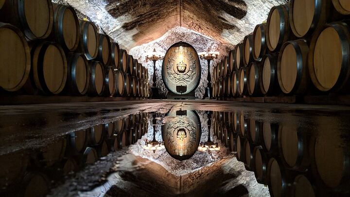 Sonoma County Segway Wine Tour: Country Roads to Buena Vista Winery (4/8)