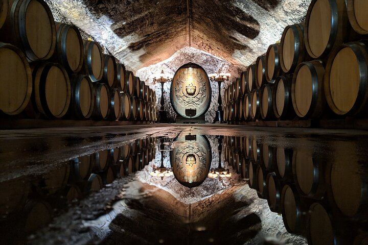 Sonoma County Segway Wine Tour: Country Roads to Buena Vista Winery (4/8)
