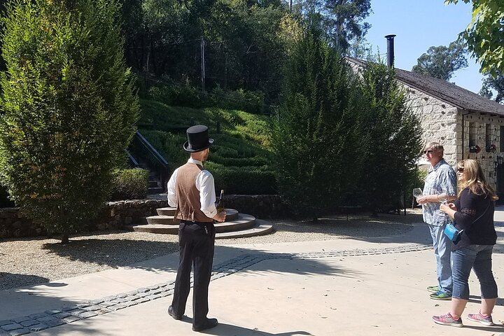 Sonoma County Segway Wine Tour: Country Roads to Buena Vista Winery (6/8)