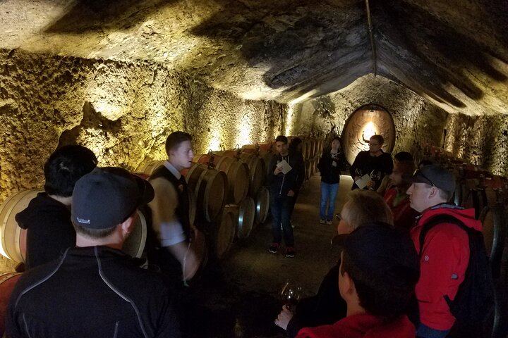 Sonoma County Segway Wine Tour: Country Roads to Buena Vista Winery (7/8)