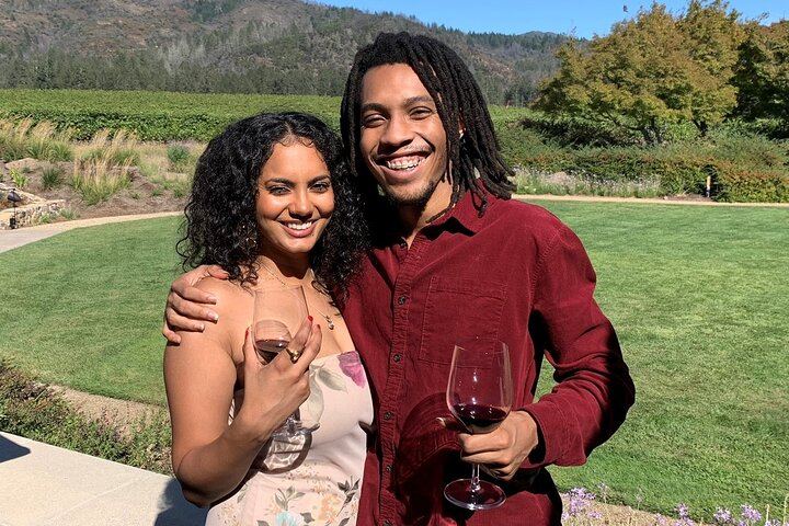 Sonoma County Group Wine Tasting Tour: Three Small Wineries and Charcuterie Box (7/8)