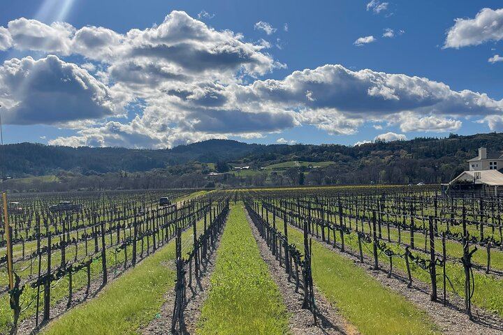 Custom Sonoma and Healdsburg Wine Tour to Boutique Wineries in Four Appellations (10/12)