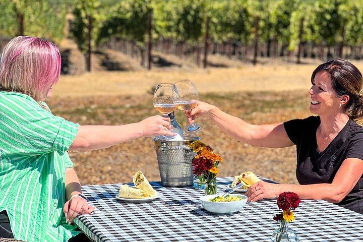 Custom Sonoma and Healdsburg Wine Tour to Boutique Wineries in Four Appellations (5/12)