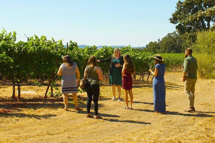 Custom Sonoma and Healdsburg Wine Tour to Boutique Wineries in Four Appellations (6/12)