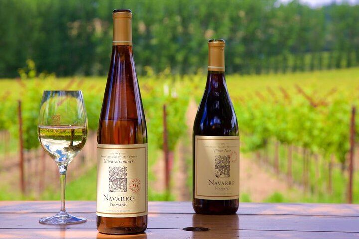 Custom Sonoma and Healdsburg Wine Tour to Boutique Wineries in Four Appellations (7/12)
