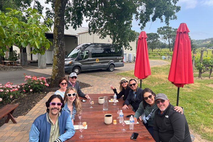 Sonoma County Group Wine Tasting Tour: Three Small Wineries and Charcuterie Box (1/8)
