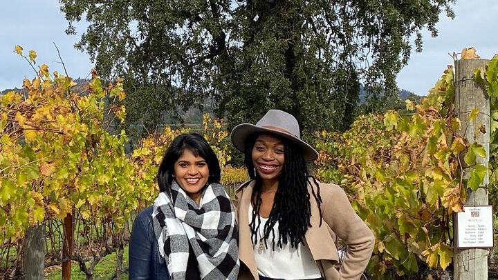Sonoma County Group Wine Tasting Tour: Three Small Wineries and Charcuterie Box (4/8)