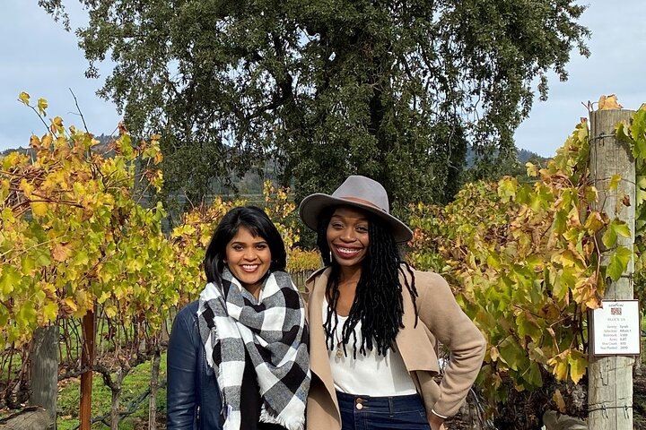 Sonoma County Group Wine Tasting Tour: Three Small Wineries and Charcuterie Box (4/8)
