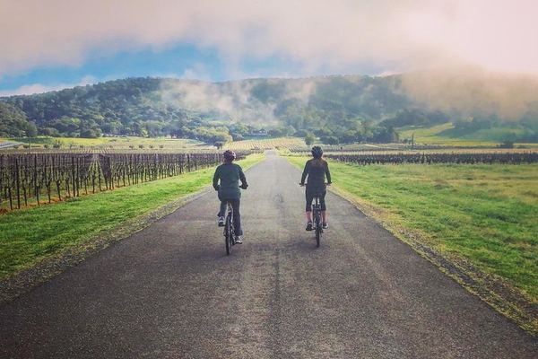 Sonoma Valley Pedal-Assist Bike Tour: Two Wineries, Picnic Lunch, Vella Cheese