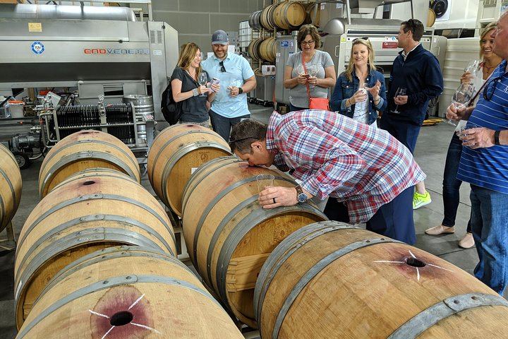 Sonoma Valley Pedal-Assist Bike Tour: Two Wineries, Picnic Lunch, Vella Cheese (10/11)