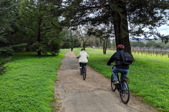 Sonoma Valley Pedal-Assist Bike Tour: Two Wineries, Picnic Lunch, Vella Cheese (8/11)