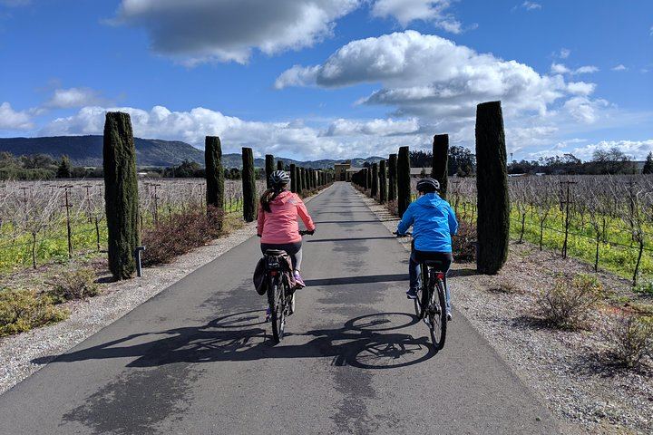 Sonoma Valley Pedal-Assist Bike Tour: Two Wineries, Picnic Lunch, Vella Cheese (7/11)