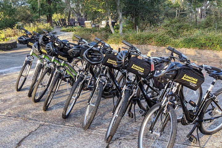 Sonoma Valley Pedal-Assist Bike Tour: Two Wineries, Picnic Lunch, Vella Cheese (11/11)