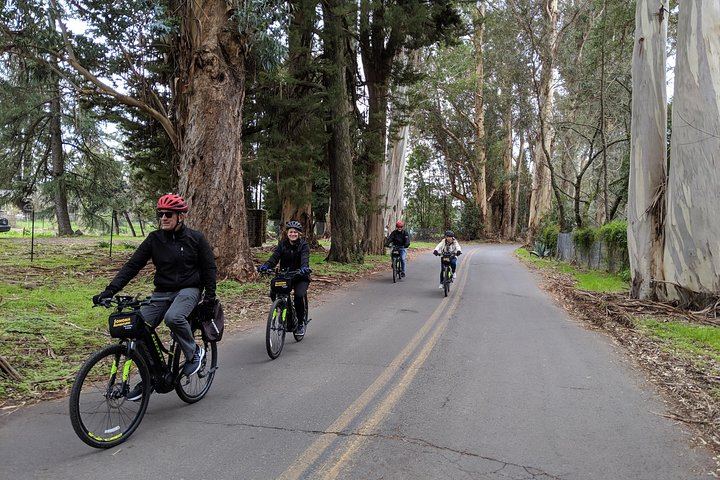 Sonoma Valley Pedal-Assist Bike Tour: Two Wineries, Picnic Lunch, Vella Cheese (5/11)