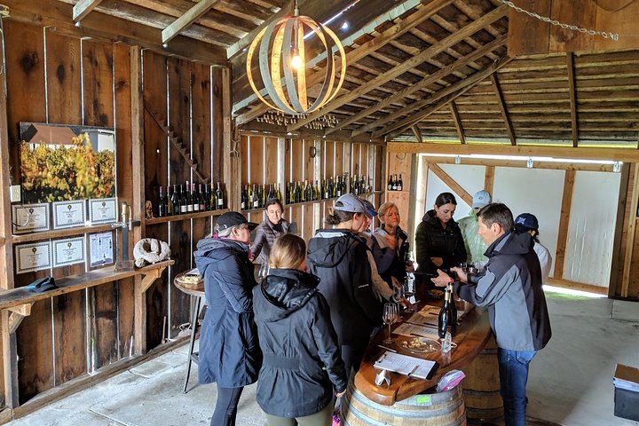 Sonoma Valley Pedal-Assist Bike Tour: Two Wineries, Picnic Lunch, Vella Cheese (6/11)