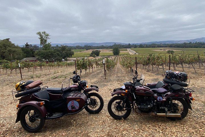 Sonoma Valley Classic Sidecar Wine Tour: Three Tastings and French-Style Picnic (11/12)