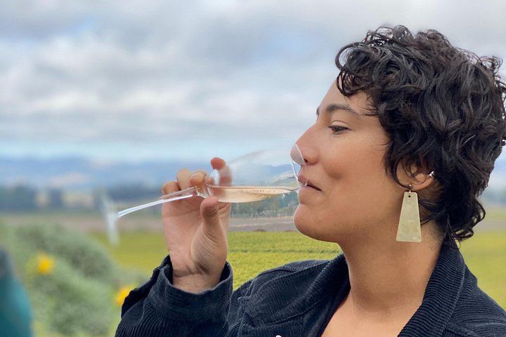 Sonoma Valley Classic Sidecar Wine Tour: Three Tastings and French-Style Picnic (10/12)