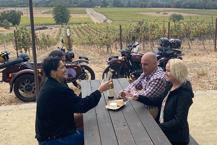 Sonoma Valley Classic Sidecar Wine Tour: Three Tastings and French-Style Picnic (12/12)