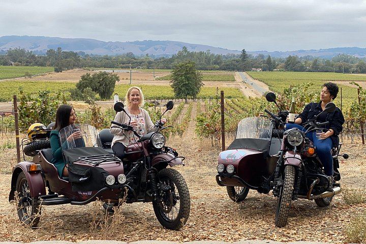 Sonoma Valley Classic Sidecar Wine Tour: Three Tastings and French-Style Picnic (1/12)