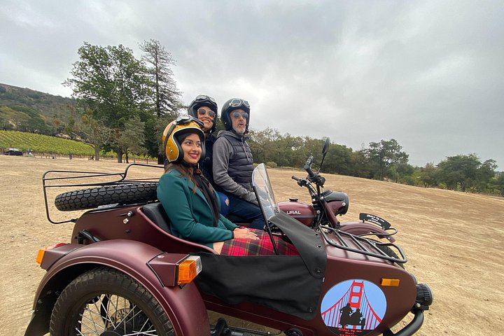 Sonoma Valley Classic Sidecar Wine Tour: Three Tastings and French-Style Picnic (4/12)