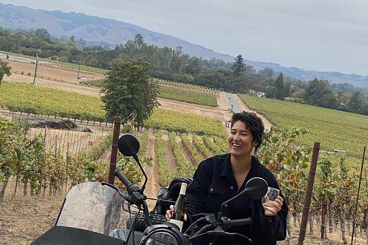 Sonoma Valley Classic Sidecar Wine Tour: Three Tastings and French-Style Picnic (6/12)