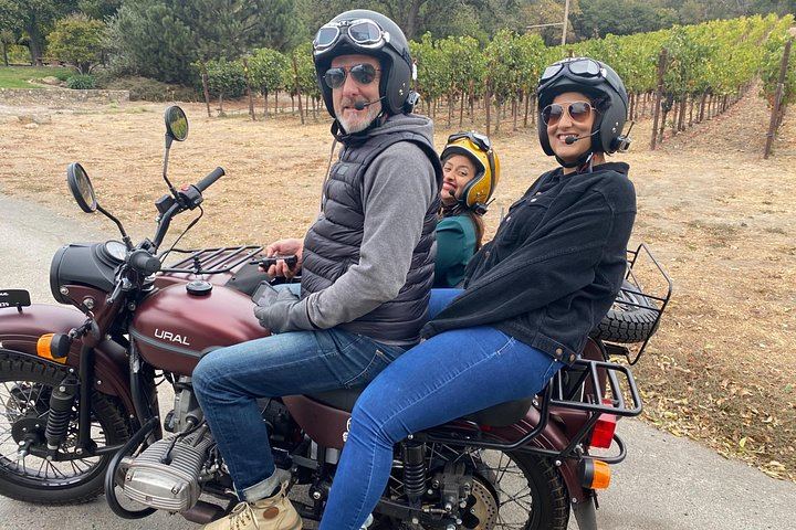 Sonoma Valley Classic Sidecar Wine Tour: Three Tastings and French-Style Picnic (7/12)