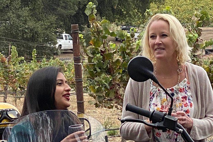 Sonoma Valley Classic Sidecar Wine Tour: Three Tastings and French-Style Picnic (8/12)