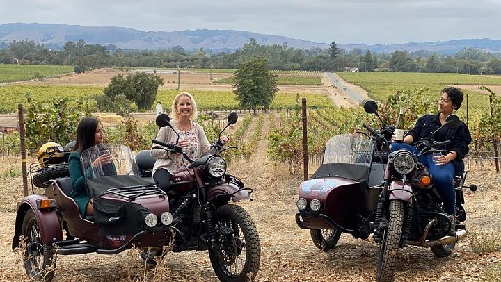 Sonoma Valley Classic Sidecar Wine Tour: Three Tastings and French-Style Picnic (1/12)
