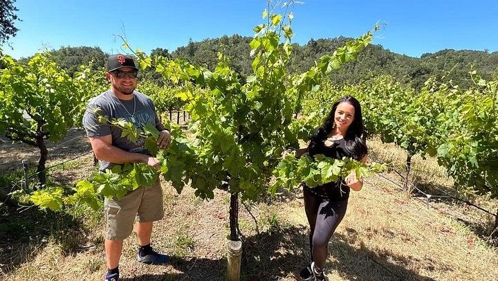 Sonoma Electric Trike Wine Country Tour from Pushpak Motors, 3 Hours (3/9)