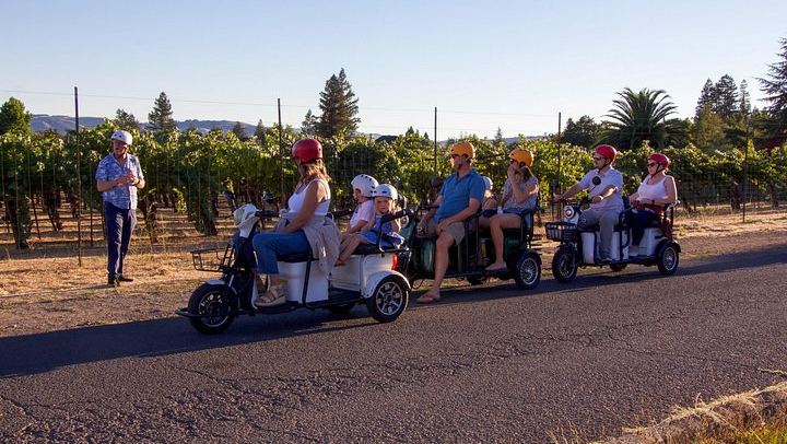 Sonoma Electric Trike Wine Country Tour from Pushpak Motors, 3 Hours (4/9)
