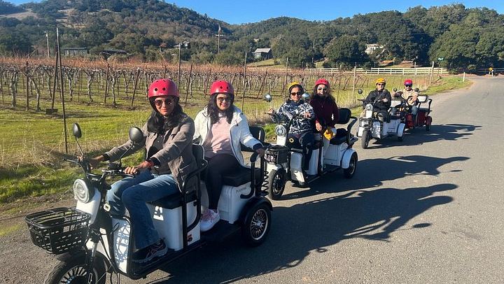 Sonoma Electric Trike Wine Country Tour from Pushpak Motors, 3 Hours (1/9)