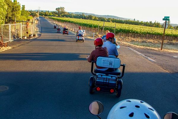 Sonoma Electric Trike Wine Country Tour from Pushpak Motors, 3 Hours