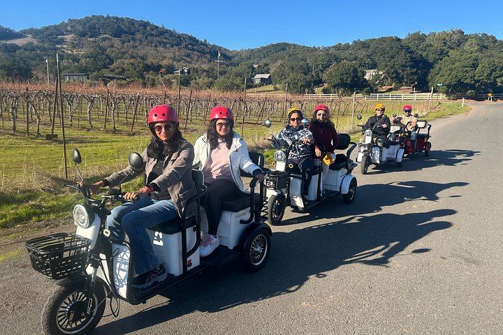 Sonoma Electric Trike Wine Country Tour from Pushpak Motors, 3 Hours (1/9)