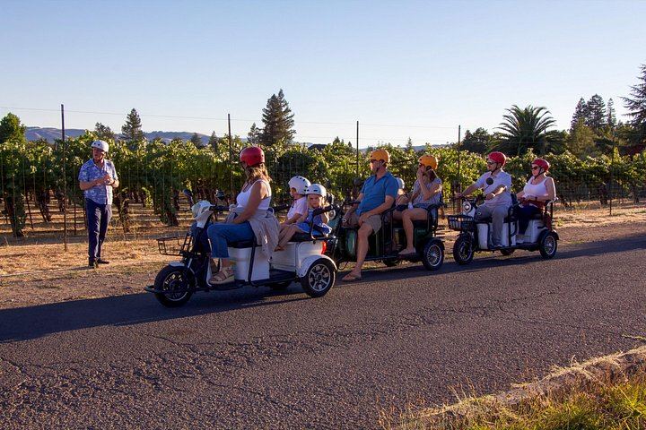 Sonoma Electric Trike Wine Country Tour from Pushpak Motors, 3 Hours (4/9)