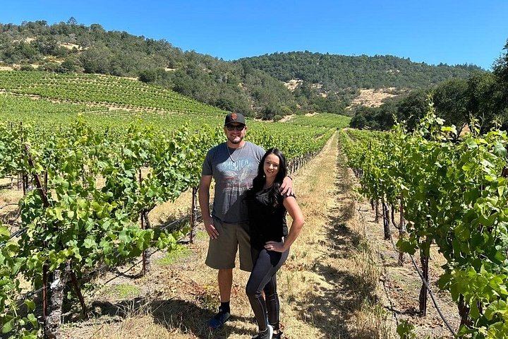 Sonoma Electric Trike Wine Country Tour from Pushpak Motors, 3 Hours (8/9)