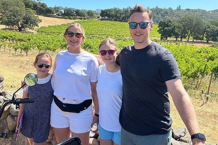 Sonoma Electric Trike Wine Country Tour from Pushpak Motors, 3 Hours (6/9)